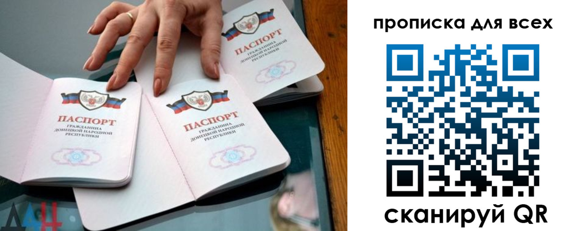 прописка гарантия в Шатуре